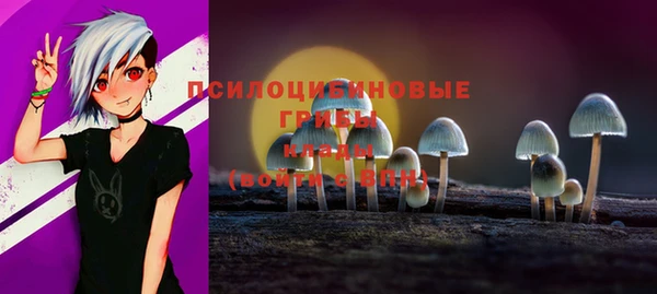гидра Касимов