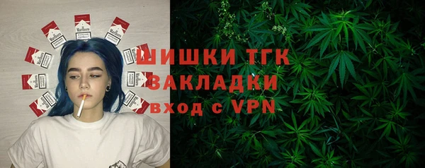 гидра Касимов