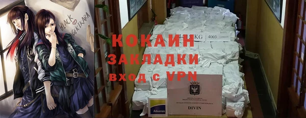 гидра Касимов